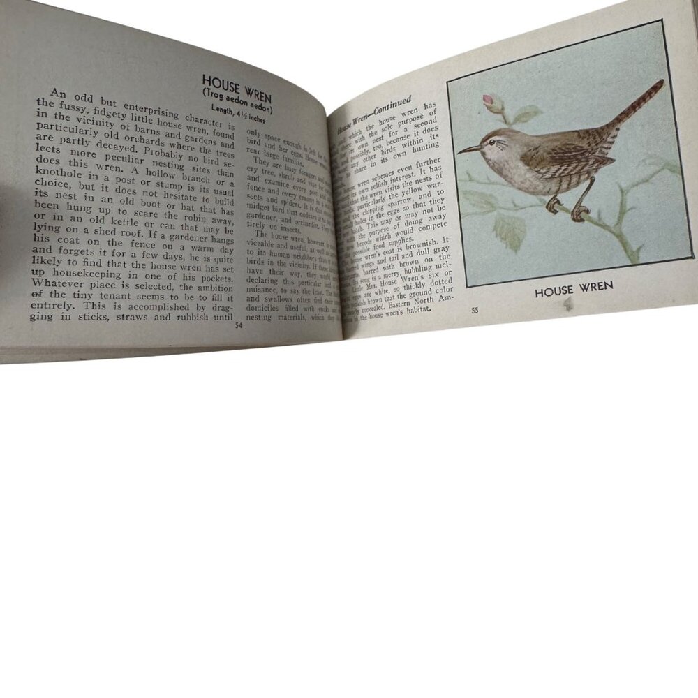 Vintage 1931 "The Green Book Of Birds Of America" By Frank G. Ashbrook - Picture 11 of 16